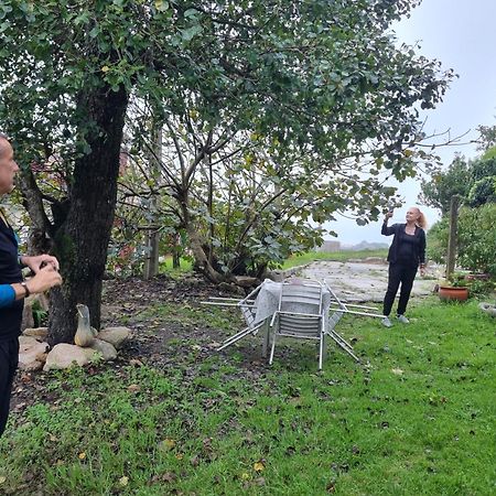 Alojamiento Casa Carlota Villadesuso Exteriör bild