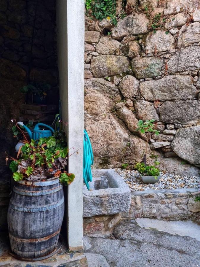 Alojamiento Casa Carlota Villadesuso Exteriör bild
