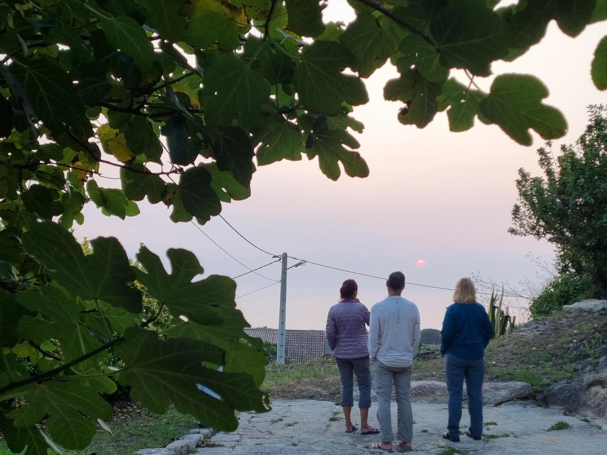 Alojamiento Casa Carlota Villadesuso Exteriör bild