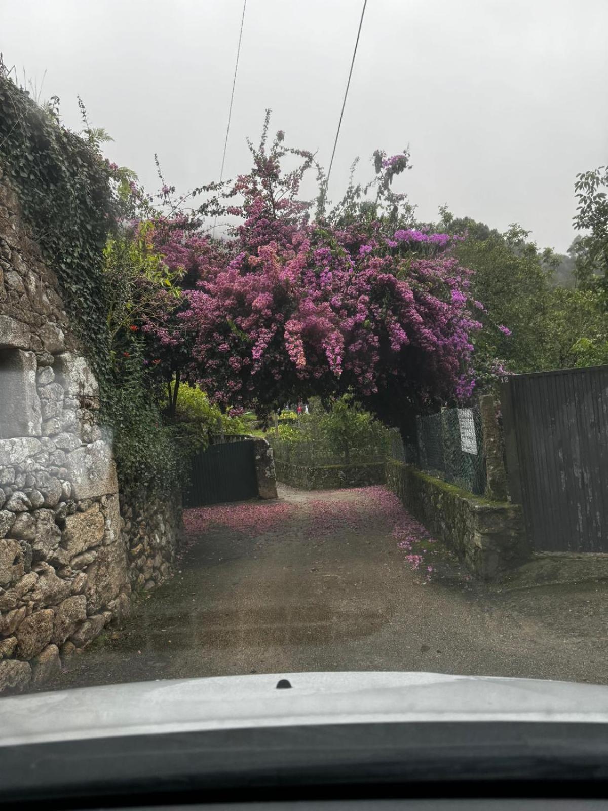 Alojamiento Casa Carlota Villadesuso Exteriör bild